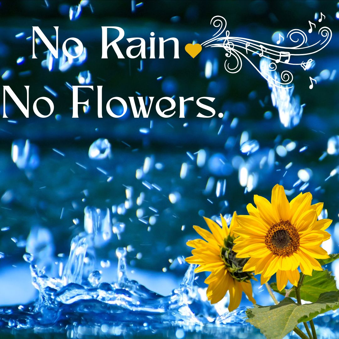 No Rain No Flowers (Original Song)