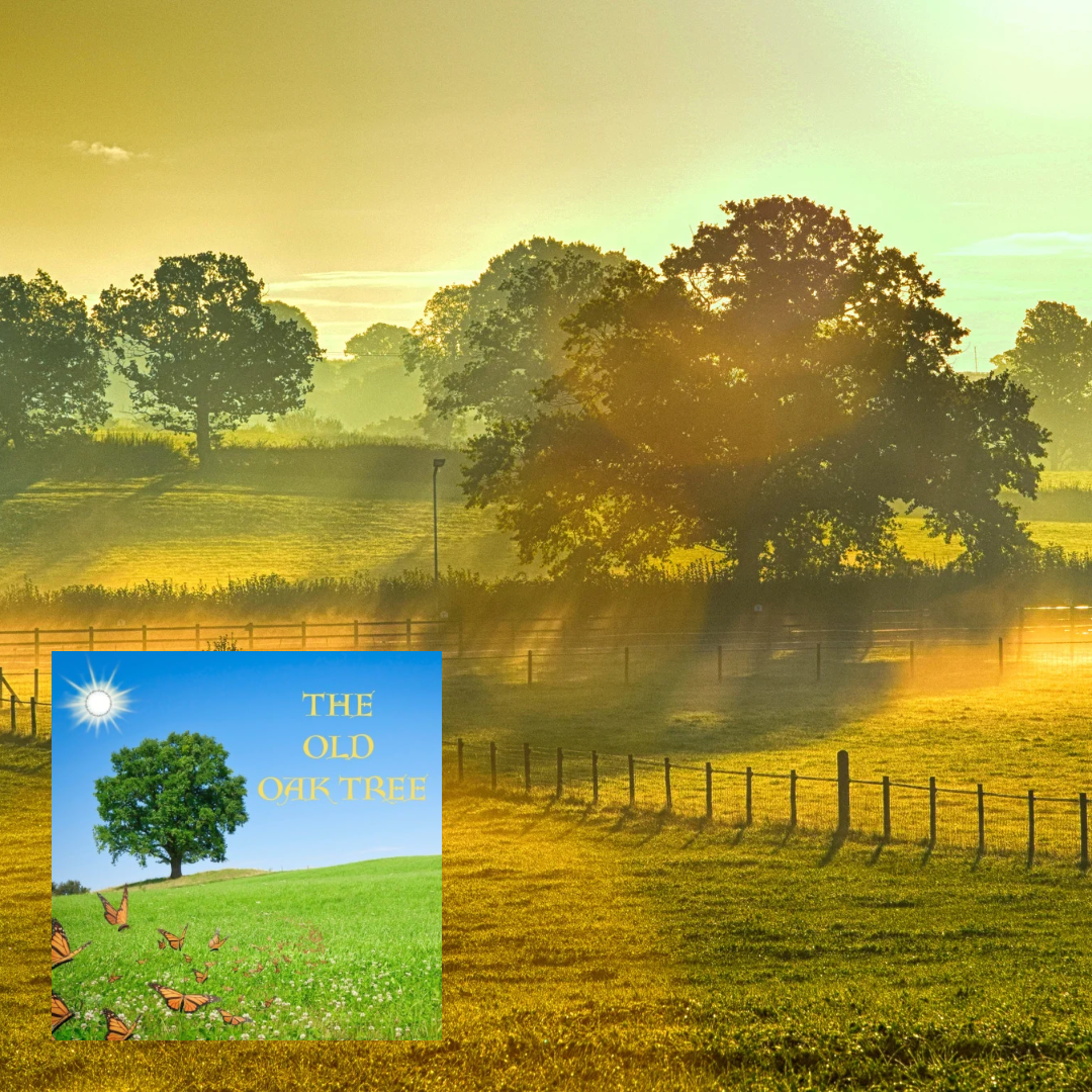 The Old Oak Tree ( Original Song)