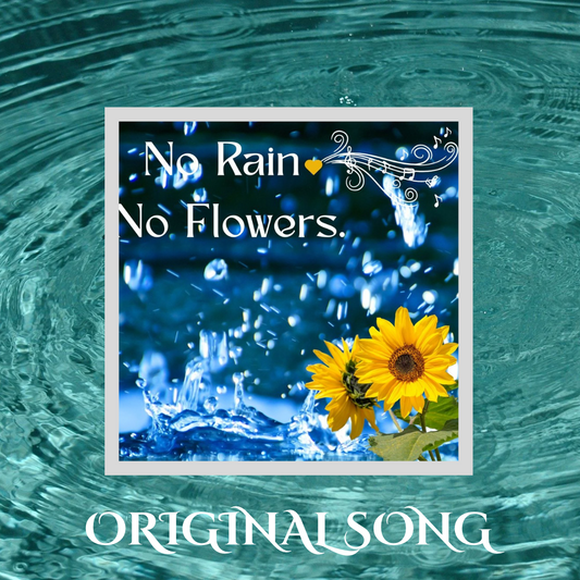 No Rain No Flowers (Original Song)
