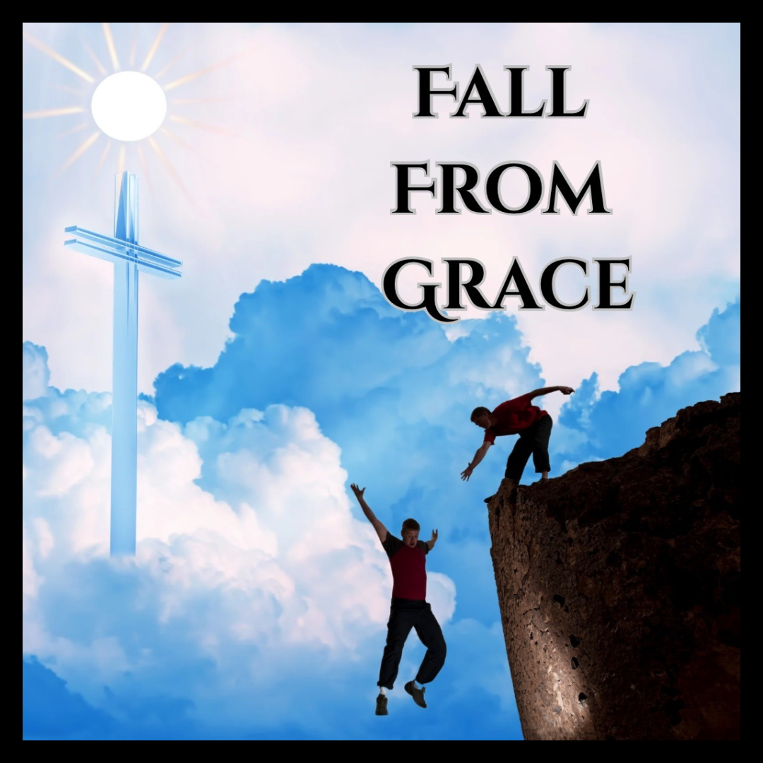 Fall From Grace ( A Spiritual Love Story)