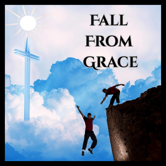 Fall From Grace ( A Spiritual Love Story)